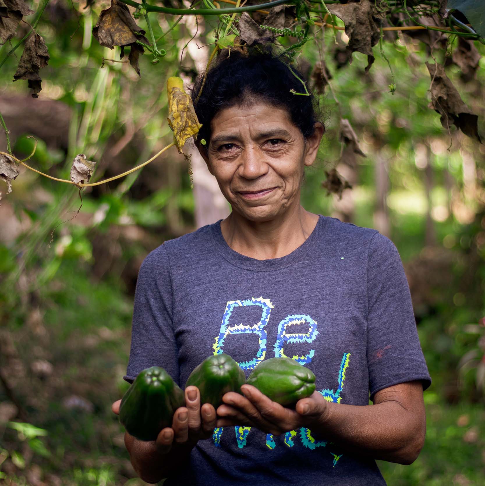Agros: Nicaragua